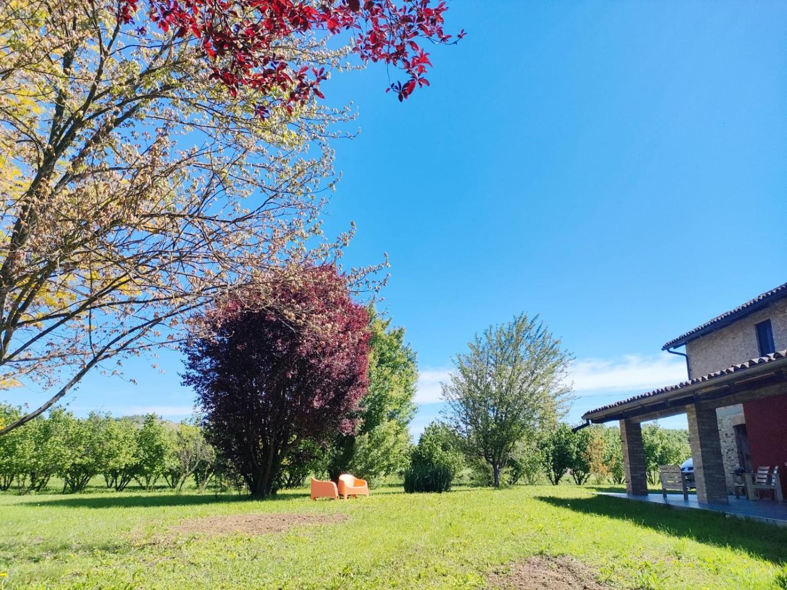 Miravigne House - Casa Di Campagna Con Cucina Castagnole delle Lanze Esterno foto